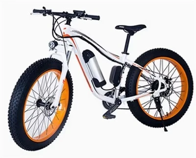 Paplūdimio „Fat Tire“ dviratis